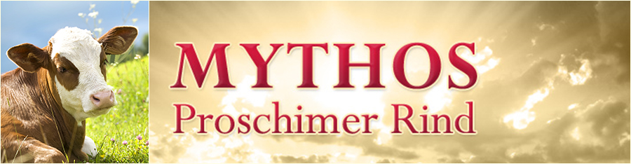 Mythos Proschimer Rind